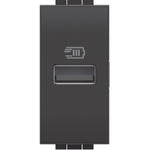 Cargador USB Tipo A + Toma Doble 2P+T 10A 250V Antracita Living Light Semi Armada